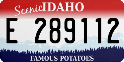 ID license plate E289112
