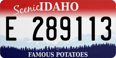 ID license plate E289113