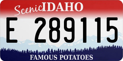 ID license plate E289115