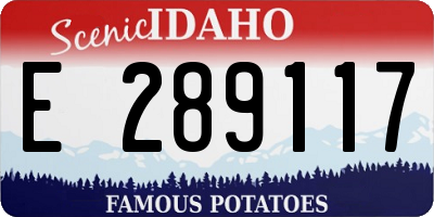 ID license plate E289117