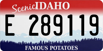 ID license plate E289119
