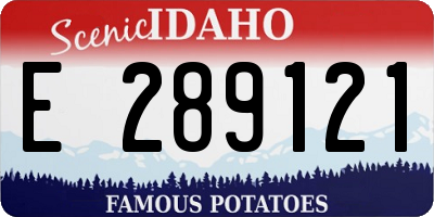 ID license plate E289121