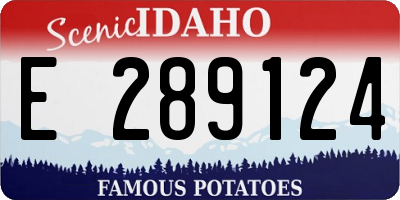 ID license plate E289124