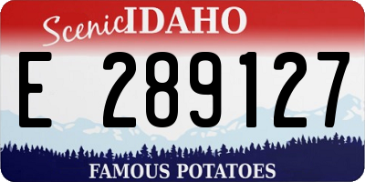 ID license plate E289127