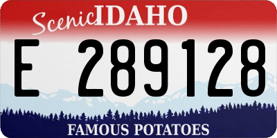 ID license plate E289128