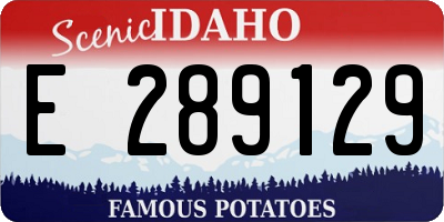 ID license plate E289129