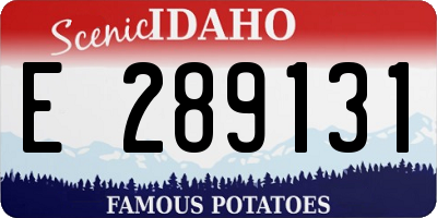 ID license plate E289131