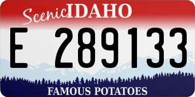 ID license plate E289133