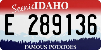 ID license plate E289136