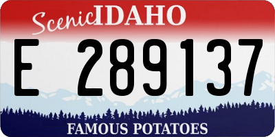 ID license plate E289137
