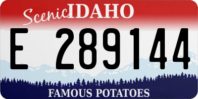 ID license plate E289144