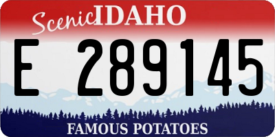 ID license plate E289145