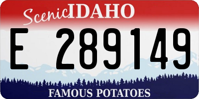 ID license plate E289149