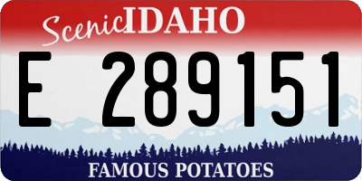 ID license plate E289151