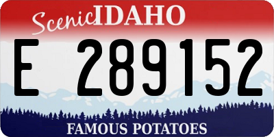 ID license plate E289152