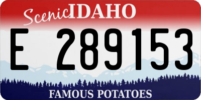 ID license plate E289153
