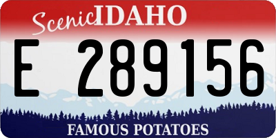 ID license plate E289156