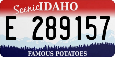 ID license plate E289157