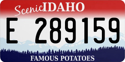 ID license plate E289159