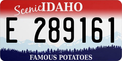 ID license plate E289161