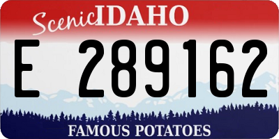 ID license plate E289162