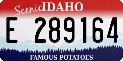ID license plate E289164