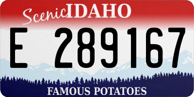 ID license plate E289167