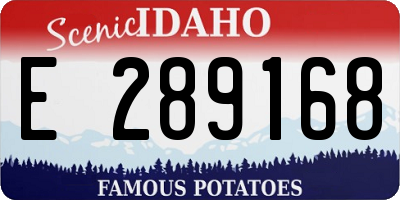 ID license plate E289168