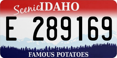 ID license plate E289169