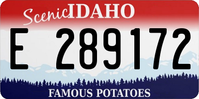 ID license plate E289172