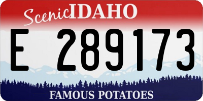 ID license plate E289173