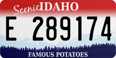 ID license plate E289174
