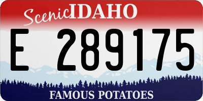 ID license plate E289175