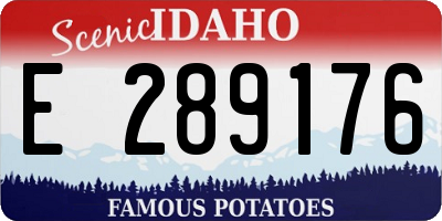 ID license plate E289176