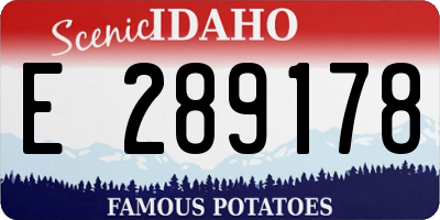 ID license plate E289178