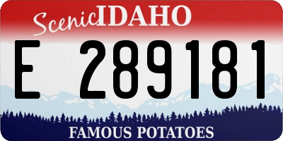 ID license plate E289181