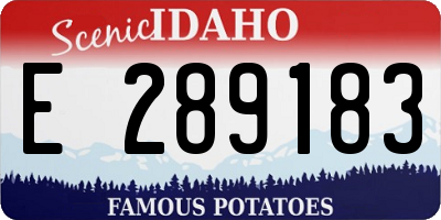 ID license plate E289183