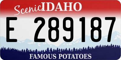 ID license plate E289187