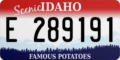 ID license plate E289191