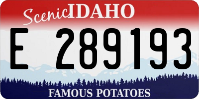 ID license plate E289193