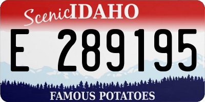ID license plate E289195