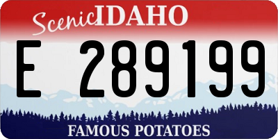ID license plate E289199