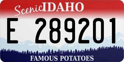 ID license plate E289201