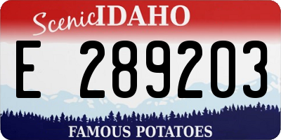 ID license plate E289203