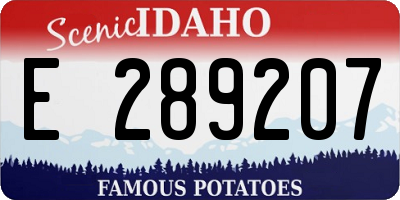 ID license plate E289207