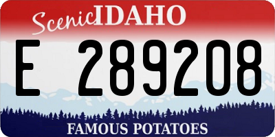 ID license plate E289208