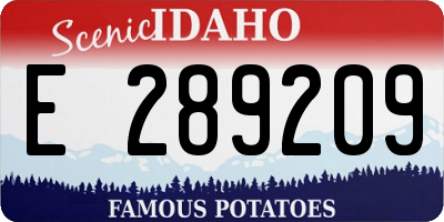 ID license plate E289209