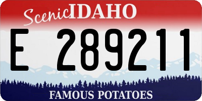 ID license plate E289211