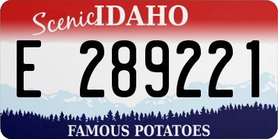 ID license plate E289221