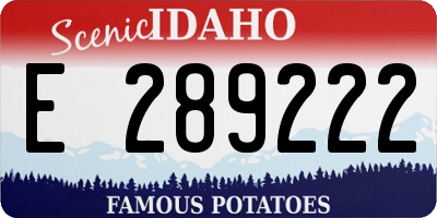 ID license plate E289222